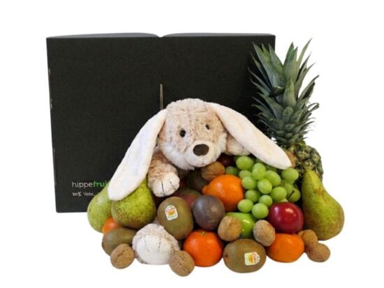 Fruitmand met mooie knuffel