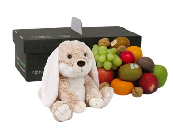 Fruiitmand met leuke knuffel