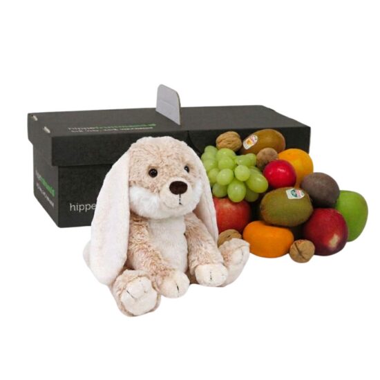 Fruiitmand met leuke knuffel