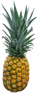 Ananas